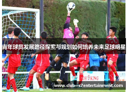 青年球员发展路径探索与规划如何培养未来足球明星